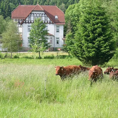 Guest house Bodetal